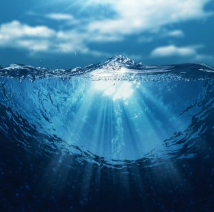 عنصر زندگی بخش عنصر زندگی بخش